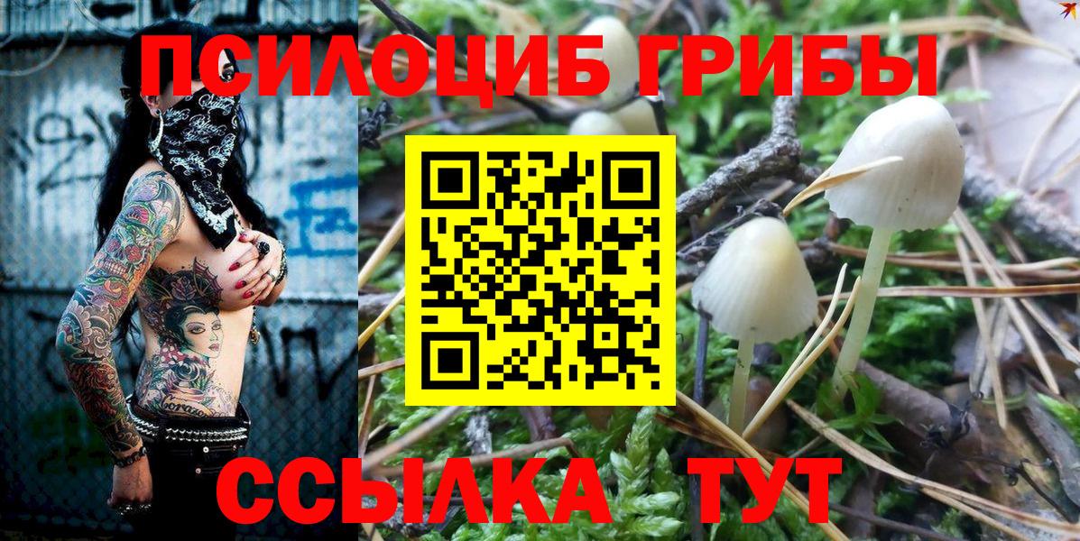 магазин продажи   Псилоцибиновые грибы ЛСД  Вход с VPN  Богородск 